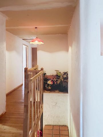 photo no. 3