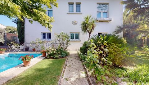 photo no. 11