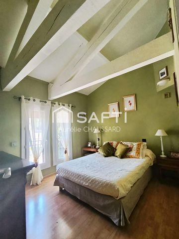 photo no. 9