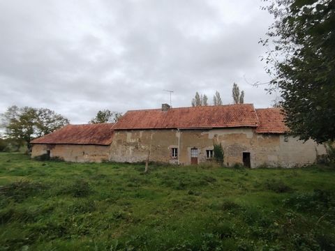 photo no. 2