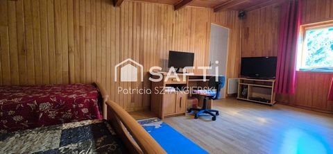 photo no. 17