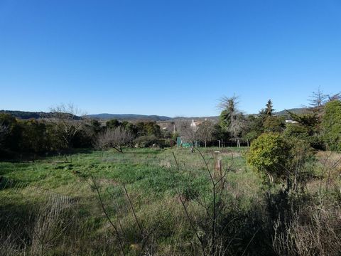 photo no. 2
