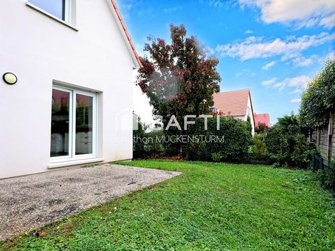 photo no. 10