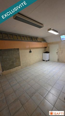 photo no. 11