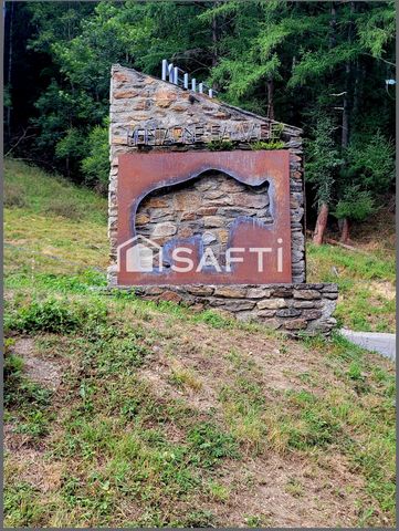 photo no. 11