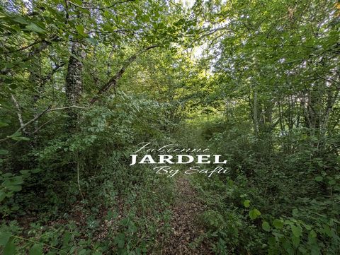 Terrain boisé sans ABF avec CU opérationnel