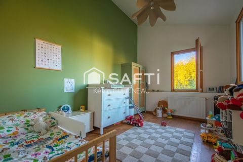photo no. 11