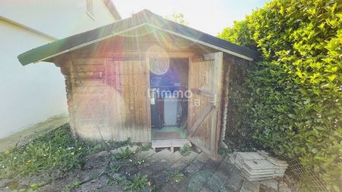 photo no. 18