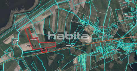 Large land plot for investment and development. The land plot at this moment is also available in smaller plots as 12 ha and 14 ha. Sales price is 5.50 Euro per sq.m. Flat, undeveloped land for a village with private cottages and multi-store building...