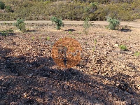 Rustikales Land von 4.960 m2 in der Nähe des malerischen Dorfes Alcarias Grandes in Azinhal, Castro Marim, Algarve. Land mit gutem Zugang und mit großer Sonneneinstrahlung. Flachteil für Wohnwagen und/oder Wohnmobil. In ruhiger und ruhiger Lage. Frei...