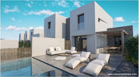 Agia Anna Naxos, an Amazing complex of 12 residences, built on a two-acre and raised on two levels. Each house consists of a kitchen-living room, two to three bedrooms, two bathrooms, a nice external patio with a swimming pool and garden. Each house ...
