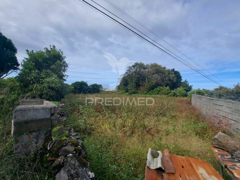 It is a plot of land for cultivation very well located in the parish of Biscoitos, with access by easement. Book your visit now!
