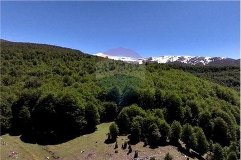 Beautiful 1.127 acre private park in the heart of green Patagonia. The property is located on the southern slope of Cerro Galera, (Galera Hill), less than an hour from the city of Coyhaique, 32 kms. by the paved road on the way to the Balmaceda Airpo...