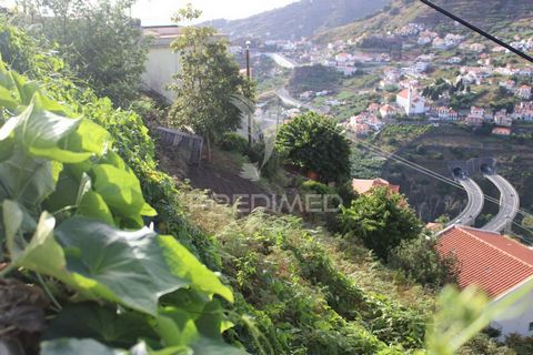 If you are looking for a plot of land for your own cultivation, this is ideal. Excellent opportunity for those who value life in the countryside and wish to grow their own vegetables on their own land. This 190 m² plot in Campanário, represents a uni...