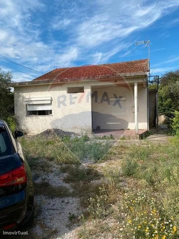 3 bedroom villa , located on the edge of the village of Rojão, in a quiet area with great access. In addition to the house, it has storage, wood oven, cultivated land with fruit trees, as well as a well with a lot of water. Ground floor villa with at...