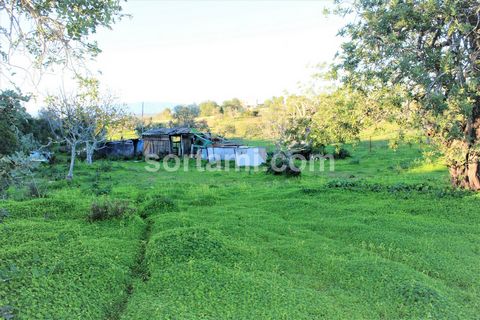 Excellent opportunity in Lagoa! Located in the council of Lagoa, just a few minutes from golf courses, this land with 2960 m2, has good access, water and electricity nearby and an excellent solar position. Lagoa attracts many people for its captivati...