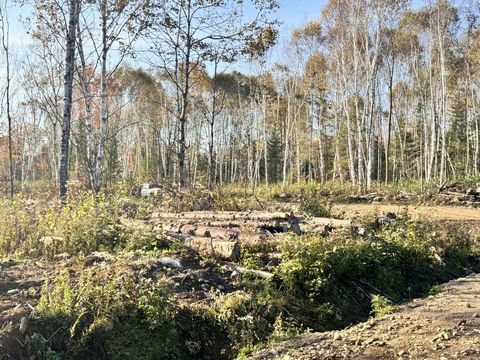 New Estate Estate Chemin Veille Route 11 Lac Saguay. Kommen Sie und wählen Sie Ihr Grundstück in der Natur in der Nähe der 380 Veille Route 11 vor dem Radweg. . Grundstück von ca. +-40000SF. Minihaus akzeptiert, umgeben von See 25 Minuten von Mont-La...