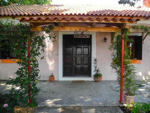 Vrijstaand huis met pannendak te koop in Marathea, Peloponnesos. Het huis is 105 m². op een perceel van 4025 m². gebouwd in 1982. Het heeft 2 slaapkamers, open zolder, grote woonkamer met energie open haard, keuken met woonkamer, badkamer, gemeubilee...