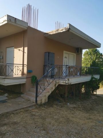 House for sale in the  Flokas village, next to Ancient Olympia. The house is 99 sq.m., consists of a kitchen combined with a living room, two bedrooms, one bathroom. Year of construction 2009. The house is located 10 minutes drive from Ancient Olympi...