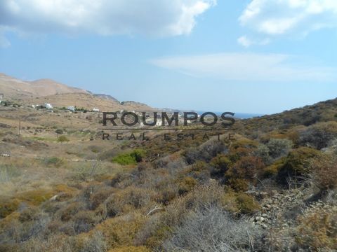 En la zona de Syros, en Ambelas, está disponible para la venta una parcela de 9.918 metros cuadrados. Potencial para la explotación turística, residencial y de inversión. Tiene acceso a un gran frente en un camino rural y se encuentra a 800 metros de...