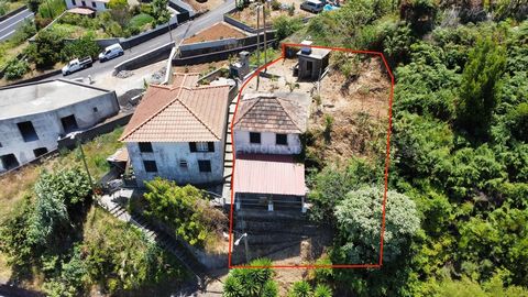 Verken de sereniteit van het platteland en de nabijheid van de zee in dit geweldige pand op slechts 25 minuten van Funchal. Traditionele villa met 2 slaapkamers gelegen in Rosário - São Vicente, deze ingevoegd in een oppervlakte van 254m2. Dit huis i...