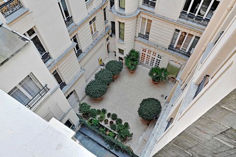 photo no. 11