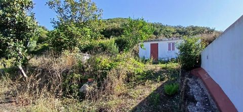 Rustic land, located in Cabeço dos Cartaxos, between Cheleiros and Igreja Nova, in a mountain environment with unobstructed views and great sun exposure, where you can enjoy a calm and peaceful environment in the middle of nature. It has an area of 7...