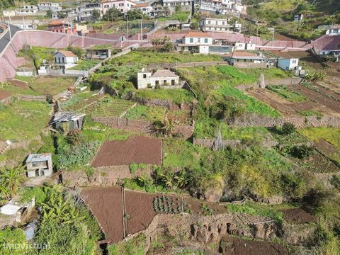 La typologie de la maison T2, a été construite en 1938 et doit être entièrement restaurée, a une grande exposition au soleil et une vue sur la mer définie. Situé dans la zone supérieure de Câmara de Lobos, idéal pour ceux qui aiment l’agriculture et ...