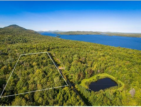 Terrain boisé de 3,8 acres à Potton - Découvrez ce magnifique terrain de 165 000 pi² sur le chemin des Faisans, situé à Mansonville. Avec des droits à construire et sans contrainte de temps, ce terrain est idéal pour les amoureux de la nature. Points...