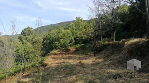 Sur la belle commune de SAINT PAUL LA COSTE, au coeur des Cévennes, coup de coeur assuré pour ce terrain de 6 900m2 au centre du village avec vue dégagée sur la nature. Le terrain se divise en deux parcelles liées, une de 1 980m2 constructibles et la...