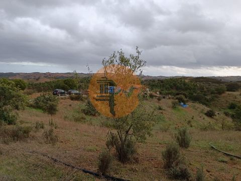 Rustikales Grundstück mit 11.360 m2, Alcarias Grandes - Azinhal - Algarve. Land mit Brunnen. Gemüsegarten, Garten, Weinberg. Ruhige Lage mit freiem Blick auf die Algarve-Berge. In der Nähe von Barragem do Beliche. Es verfügt über zwei Trinkwassertank...