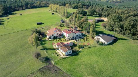 EXCLUSIVITÉ : A 20 minutes de Chalais, sur plus de 32 hectares dont 8 hectares de pins, à 600 m du voisin le plus proche, propriété équestre composée : d'une maison en pierre de 289 m2 comprenant au rez-de-chaussée une entrée/cellier, une cuisine ouv...