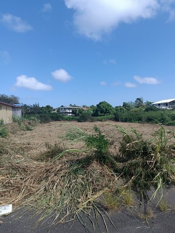 À vendre : terrain constructible de 800m2 viabilisé situé dans un lotissement calme et agréable à Anse-Bertrand. Ce terrain viabilisé est parfait pour la construction d'une maison de vie ou pour un projet d'investissement. Il bénéficie d'un emplaceme...