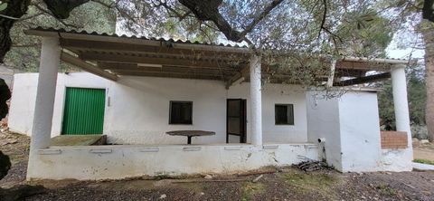 Rustic property of 2.7 hectares for sale near the hermitage of Coll de l'Alba in Tortosa. The property has a cozy 65m2 casita that includes a dining room, kitchen, 2 bedrooms and a bathroom. It also has a fireplace and a barbecue to enjoy pleasant ev...