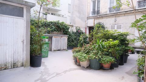 photo no. 7