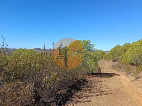 Terreno com 137.480 m2, próximo a Galaches - Vaqueiros - Alcoutim. Terreno junto a Ribeira de Odeleite em Vaqueiros - Alcoutim. Terreno com muitas árvores - Pinheiros. Com Eletricidade próximo. CONSTRUÇÃO: Possibilidade de construção de uma moradia p...