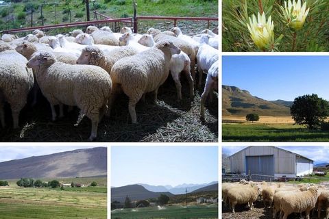 Une opportunité unique et lucrative vous attend. Présentation d’une ferme très diversifiée comprenant des montagnes, des vallées isolées avec des paysages à couper le souffle, avec un éventail de possibilités génératrices de revenus. Cinq barrages en...