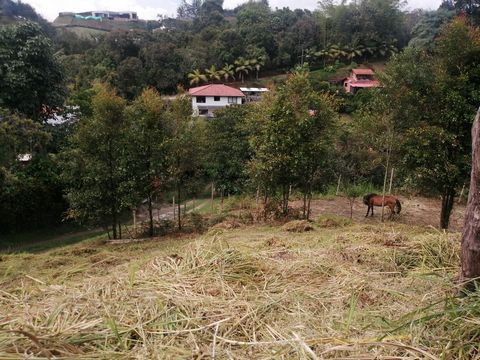 Con un área de 400 m2 rodeado de naturaleza y arboles nativos donde puede respirar aire puro.  Ubicado en la vereda Quirama cerca del ingreso que hay sobre la vía de San Antonio de Pereira a La Ceja. Cerca de la Universidad de Antioquia. Actualmente ...