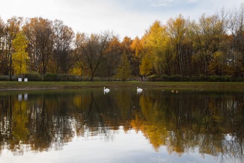 Сокольники один из самых экологически чистых районов Москвы, благодаря одноименному парку, который занимает половину территории района и переходит в национальный парк Лосиный остров — крупный лесной массив, где можно устраивать настоящие походы с цел...