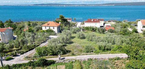 Terreni edificabili in vendita a Banj, isola di Paman Questi fantastici terreni edificabili si trovano nel tranquillo villaggio di Banj, sulla bellissima isola di Paman, a soli 80 metri dal mare. Offrendo un ambiente sereno e una splendida vista sul ...