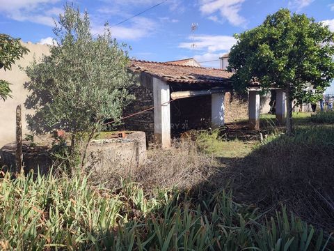 Excelente oportunidade Terreno rustico com 2660m2, inserido na malha urbana da Aldeia de Monte Fidalgo. Terreno regular com uma vista desafogada sobre a aldeia, conta com duas construções, 1 poço e diversas árvores de fruto. Bons acessos e todo vedad...