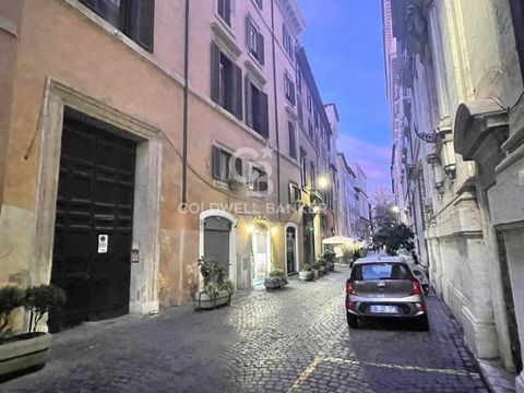 Nel centro storico di Roma, a pochi passi dalla splendida Piazza Navona, proponiamo in vendita un locale categoria catastale C2, al piano seminterrato di circa 124 mq, asciutto grazie alla presenza di finestre a bocca di lupo. Situato in Via Santa Ma...