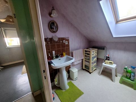 photo no. 13