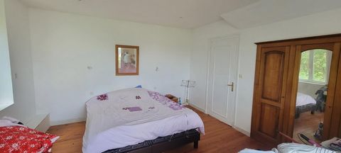 photo no. 9