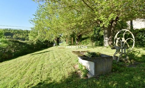 photo no. 15