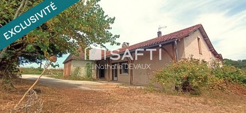photo no. 14