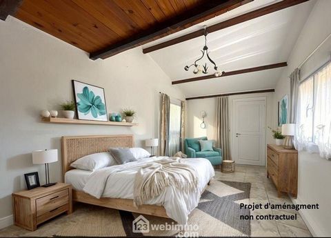 photo no. 11