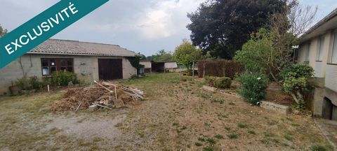 photo no. 15