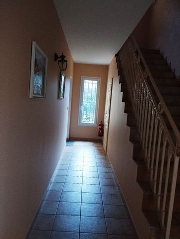 photo no. 7