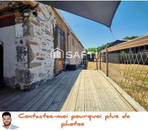 photo no. 11
